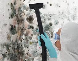 Best Emergency Mold Remediation  in USA